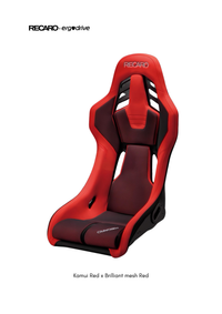 RECARO RSS thumbnail 8