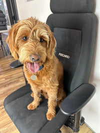 RECARO 24H Office Chair thumbnail 10
