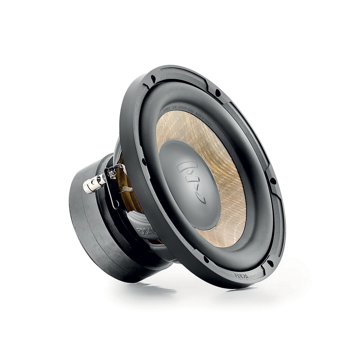 Focal Flax Evo P 20 FE – 8" Subwoofer